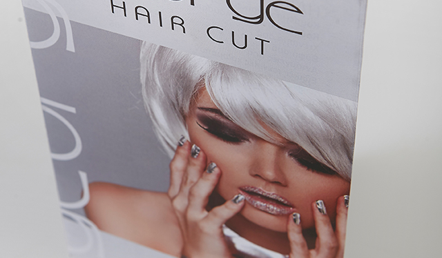 ΕΝΤΥΠΑ ΠΡΟΒΟΛΗΣ